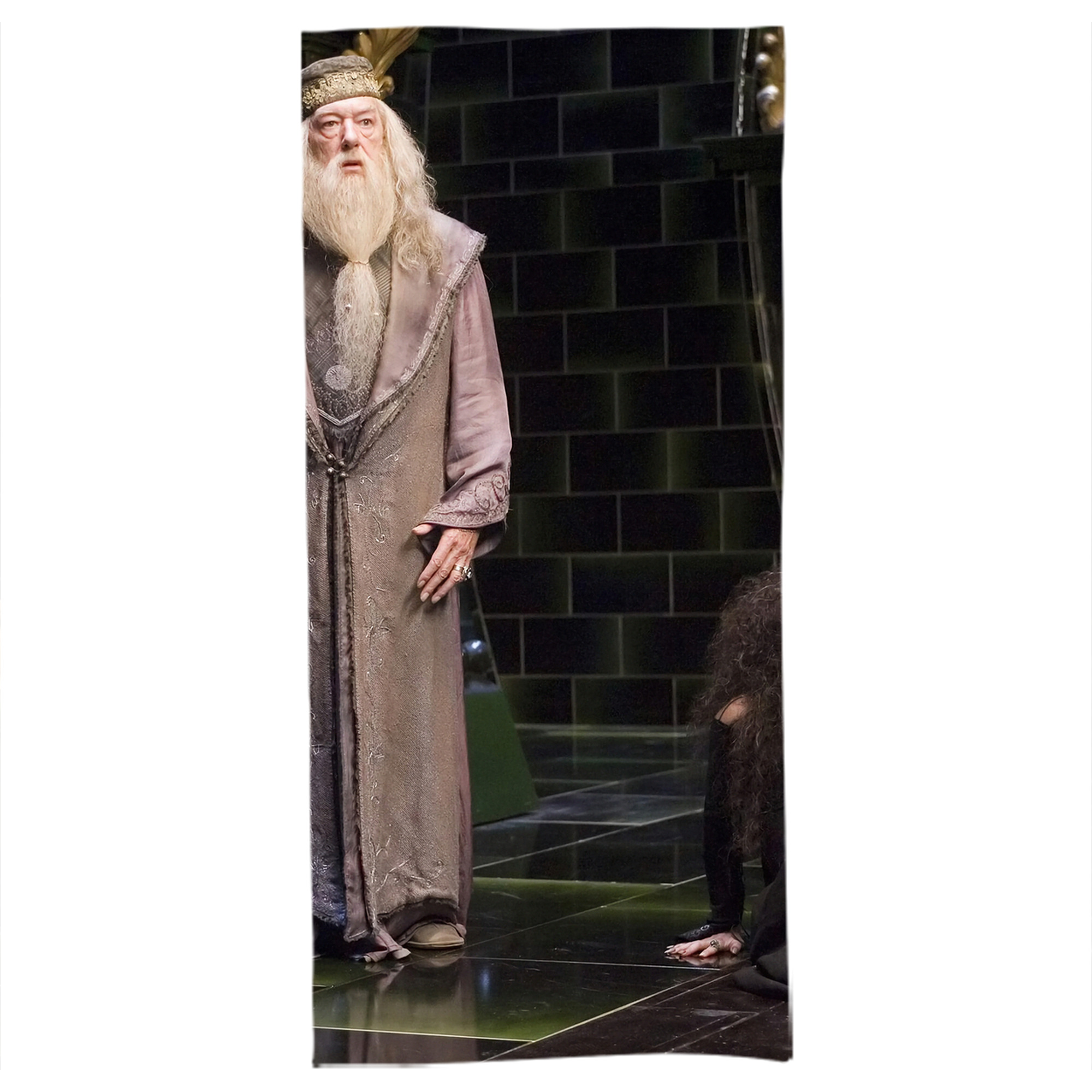（画像用） Harry Potter ハリー・ポッターシリーズ 大判バスタオル 70×140cm 吸水速乾 柔らかい肌触り