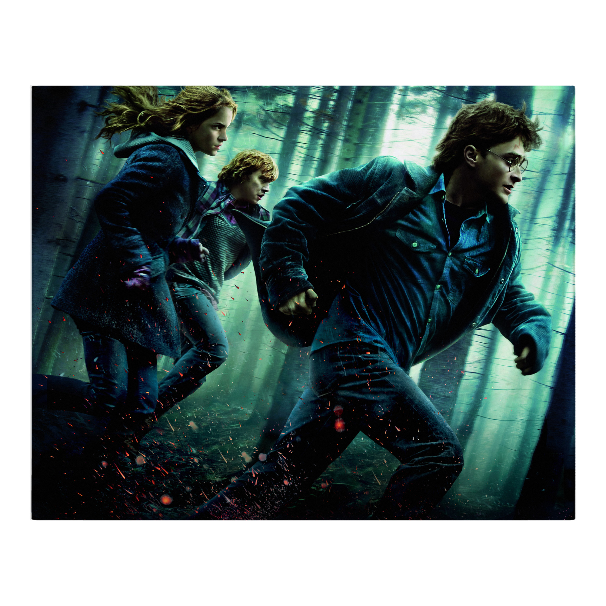 （画像用） Harry Potter ハリー・ポッターシリーズ フランネルブランケット・多サイズ対応（横型）