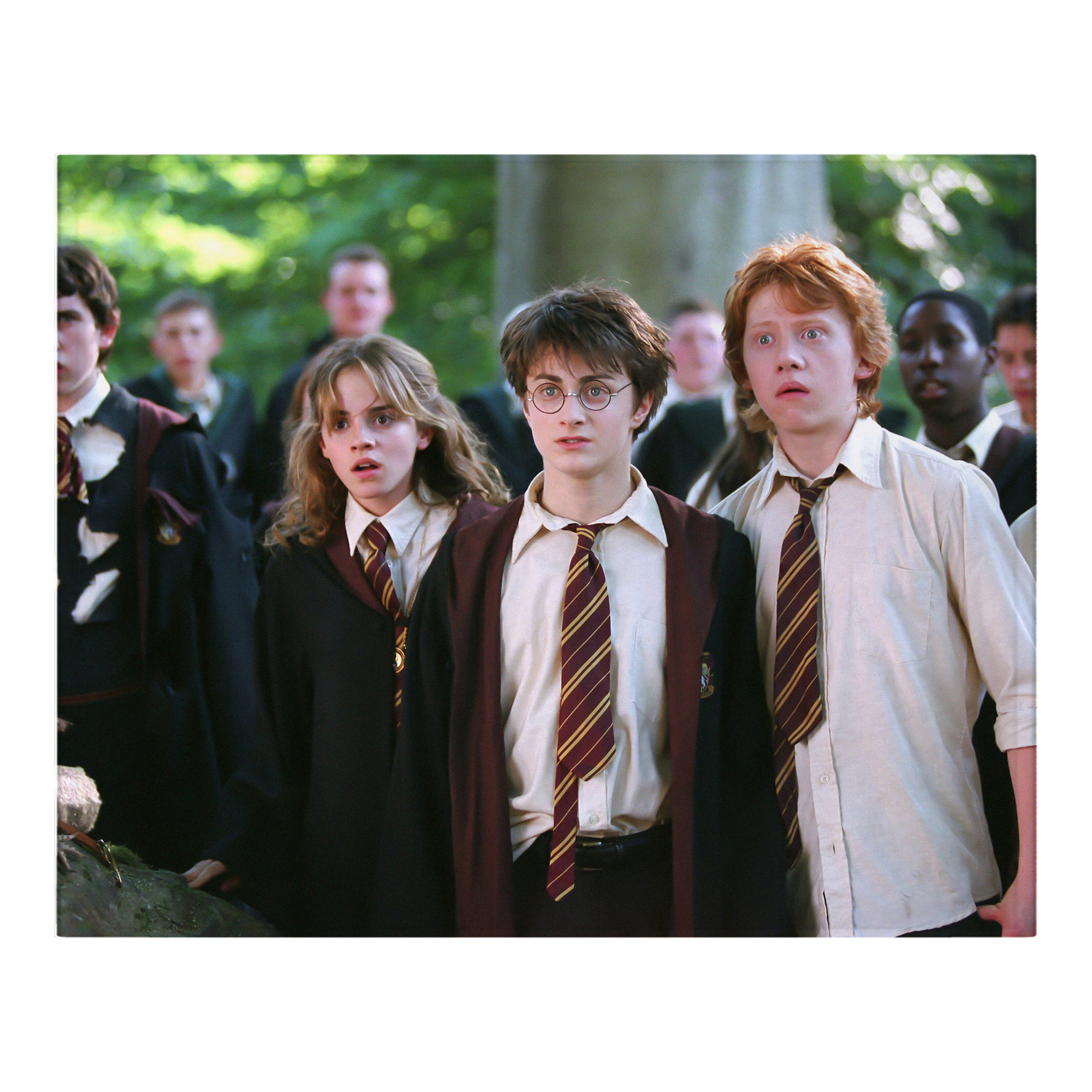 （画像用） Harry Potter ハリー・ポッターシリーズ フランネルブランケット・多サイズ対応（横型）
