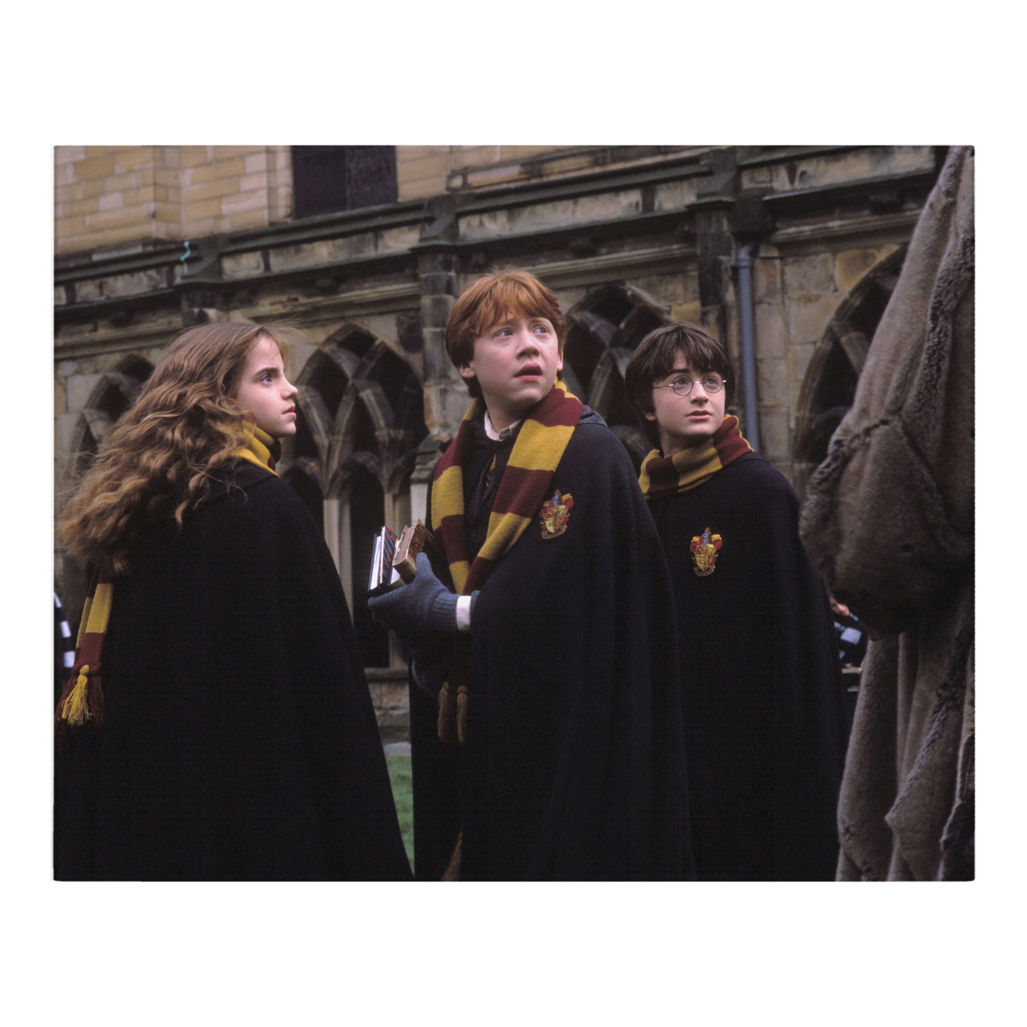 （画像用） Harry Potter ハリー・ポッターシリーズ フランネルブランケット・多サイズ対応（横型）