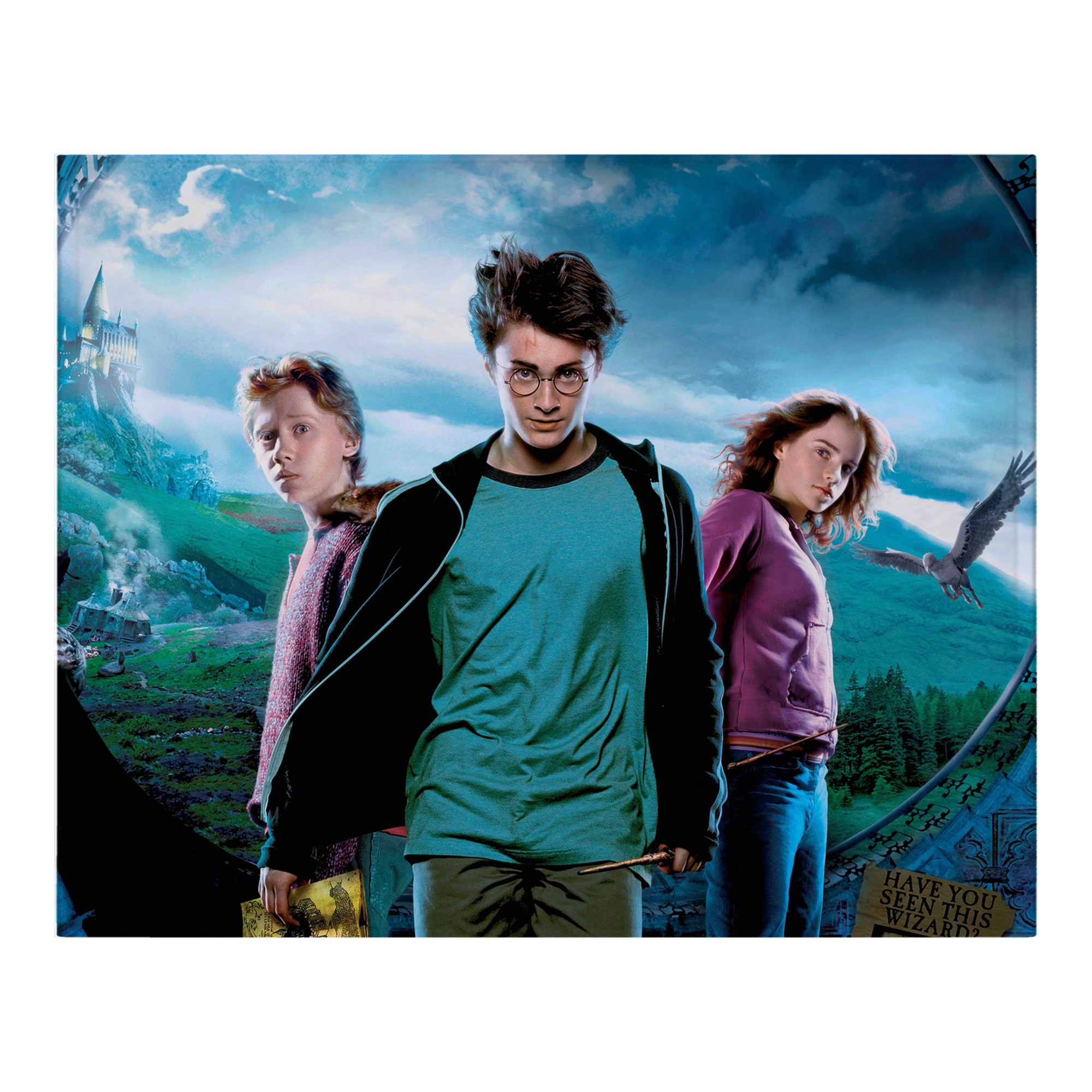 （画像用） Harry Potter ハリー・ポッターシリーズ フランネルブランケット・多サイズ対応（横型）