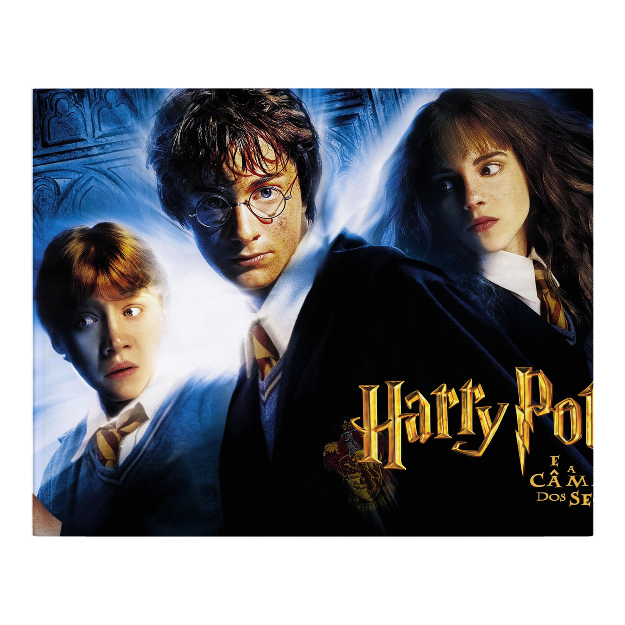 （画像用） Harry Potter ハリー・ポッターシリーズ フランネルブランケット・多サイズ対応（横型）