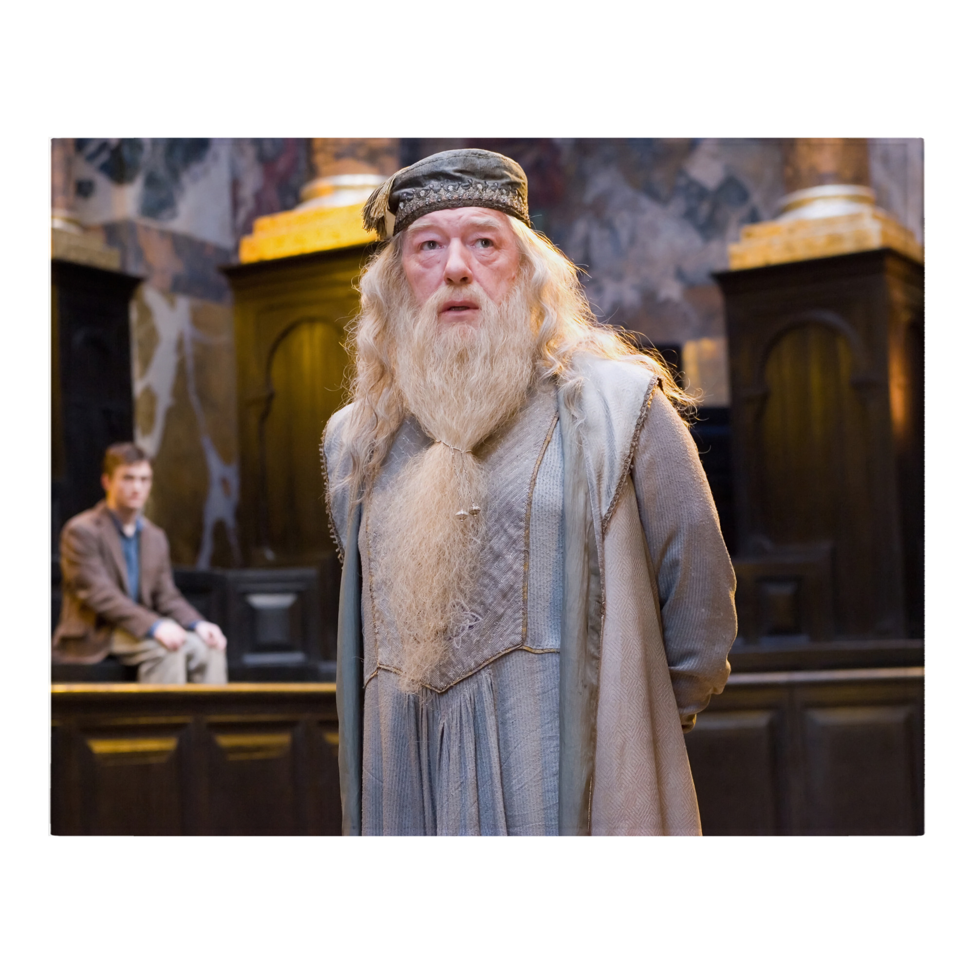 （画像用） Harry Potter ハリー・ポッターシリーズ フランネルブランケット・多サイズ対応（横型）