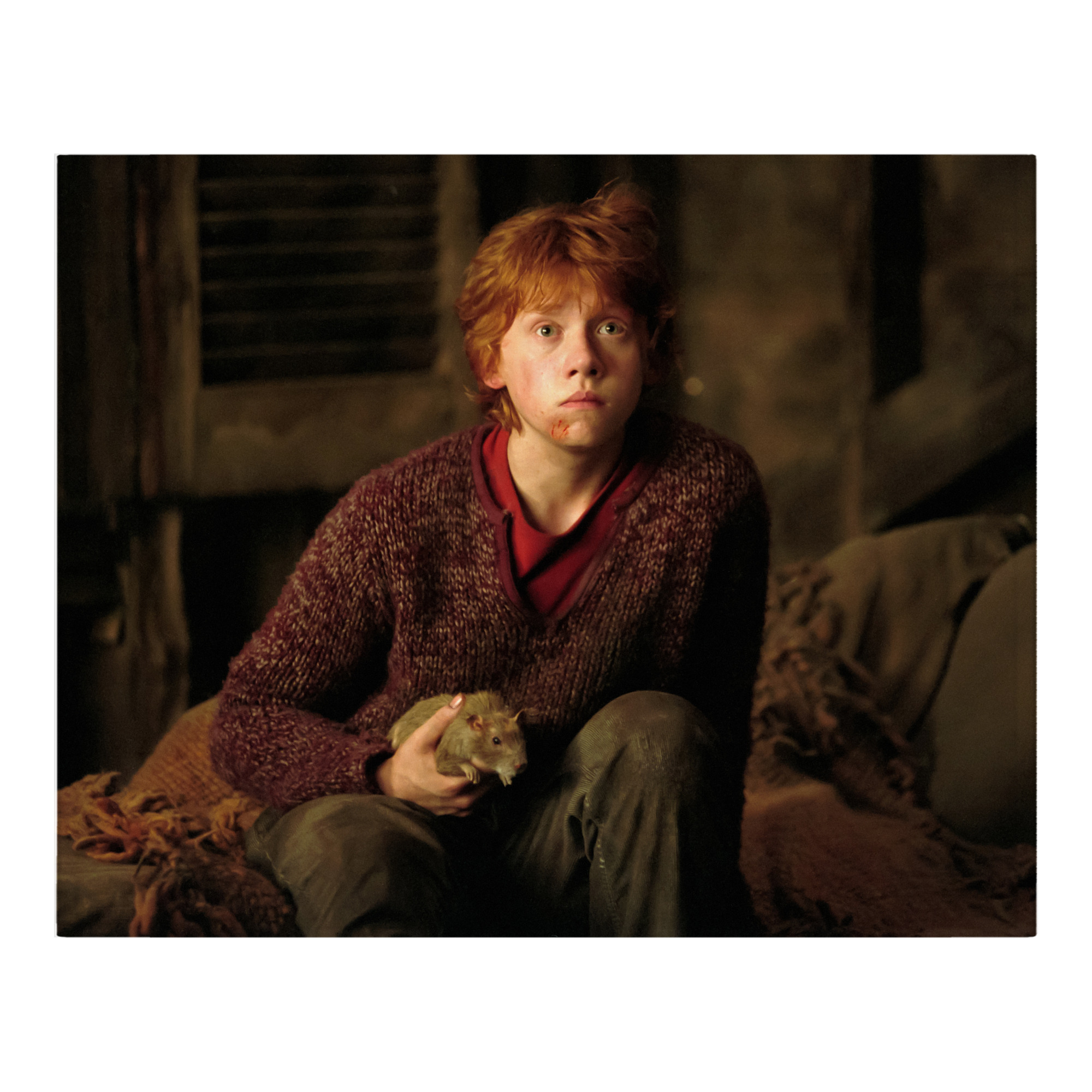 （画像用） Harry Potter ハリー・ポッターシリーズ フランネルブランケット・多サイズ対応（横型）