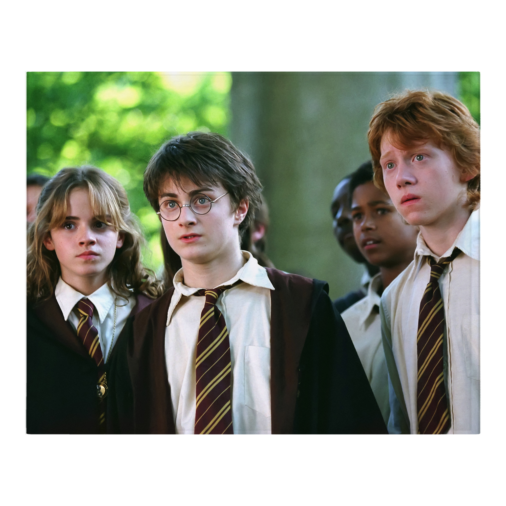 （画像用） Harry Potter ハリー・ポッターシリーズ フランネルブランケット・多サイズ対応（横型）