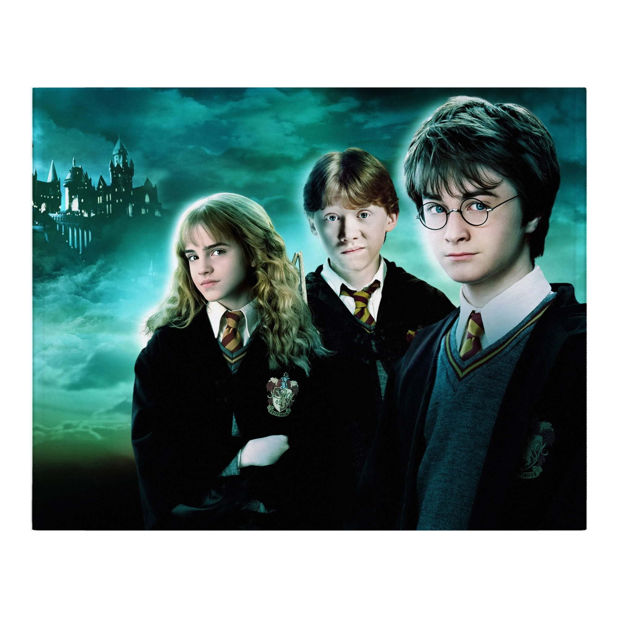 （画像用） Harry Potter ハリー・ポッターシリーズ フランネルブランケット・多サイズ対応（横型）