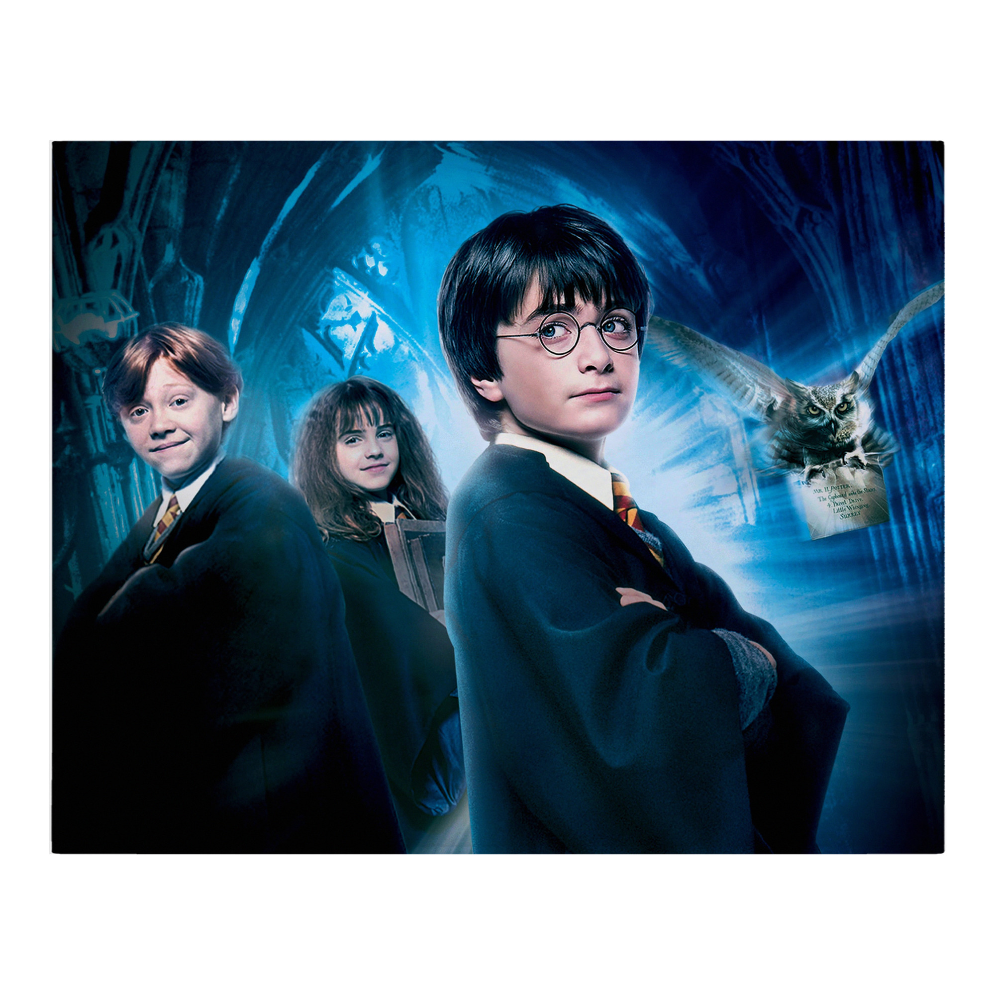 （画像用） Harry Potter ハリー・ポッターシリーズ フランネルブランケット・多サイズ対応（横型）