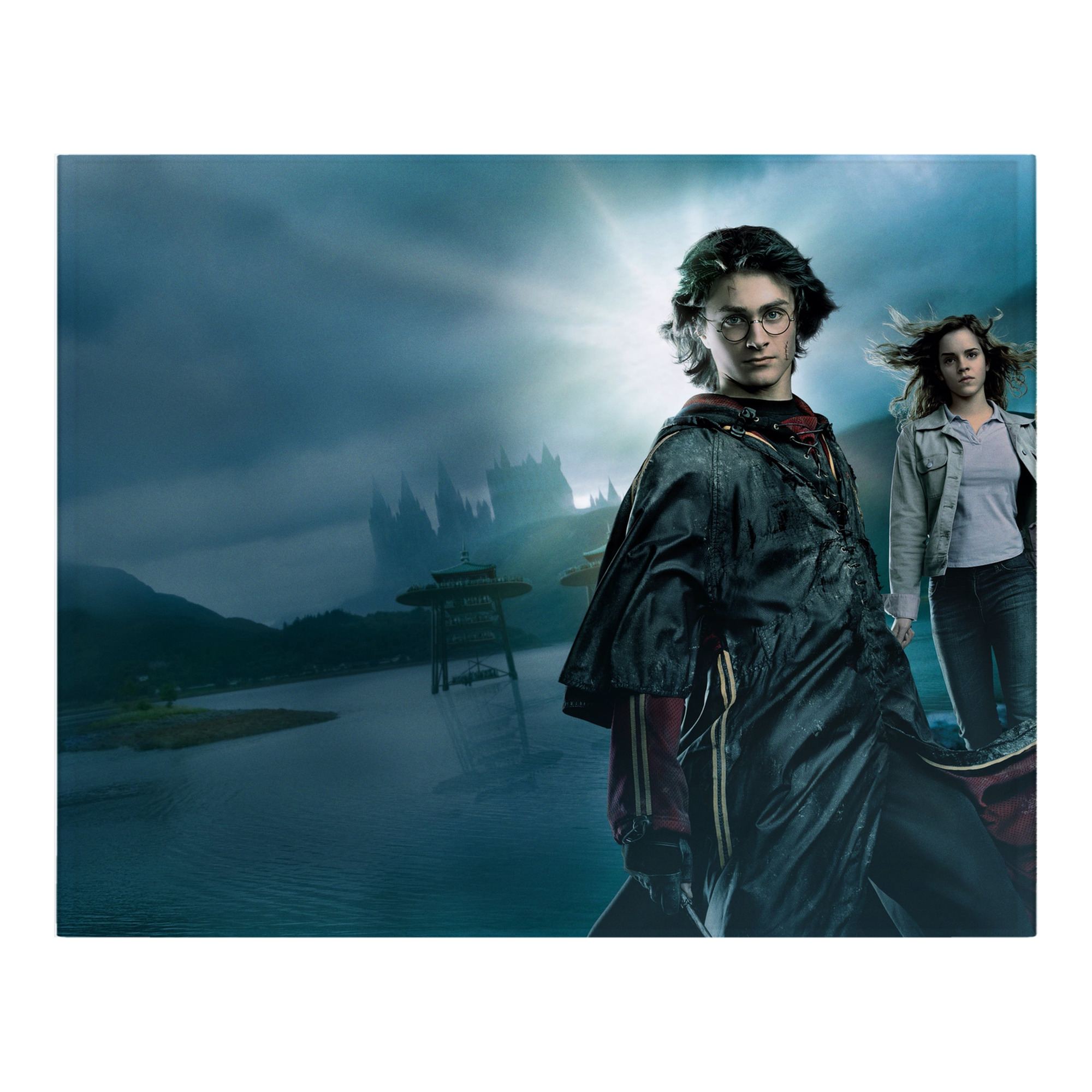 （画像用） Harry Potter ハリー・ポッターシリーズ フランネルブランケット・多サイズ対応（横型）
