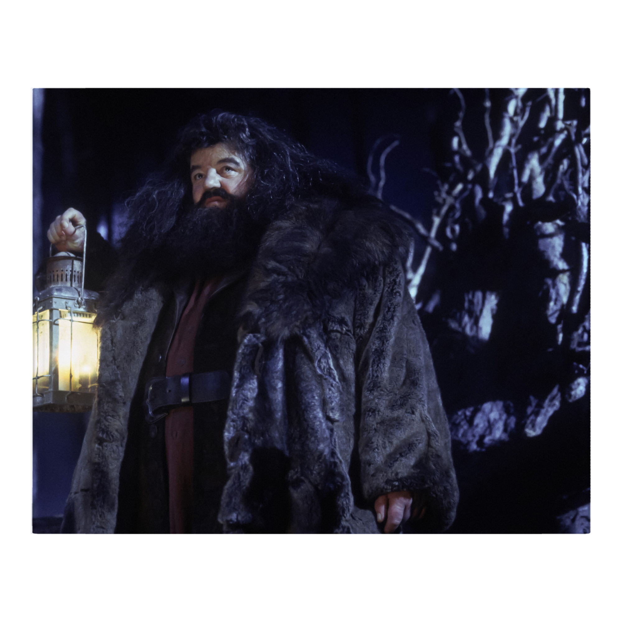 （画像用） Harry Potter ハリー・ポッターシリーズ フランネルブランケット・多サイズ対応（横型）