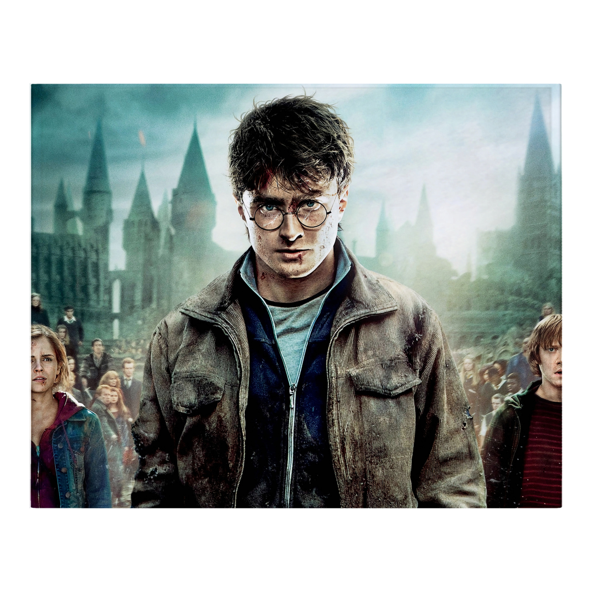 （画像用） Harry Potter ハリー・ポッターシリーズ フランネルブランケット・多サイズ対応（横型）