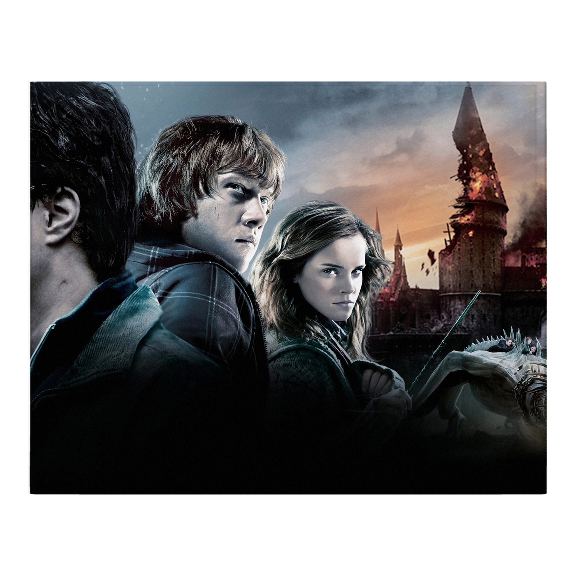 （画像用） Harry Potter ハリー・ポッターシリーズ フランネルブランケット・多サイズ対応（横型）
