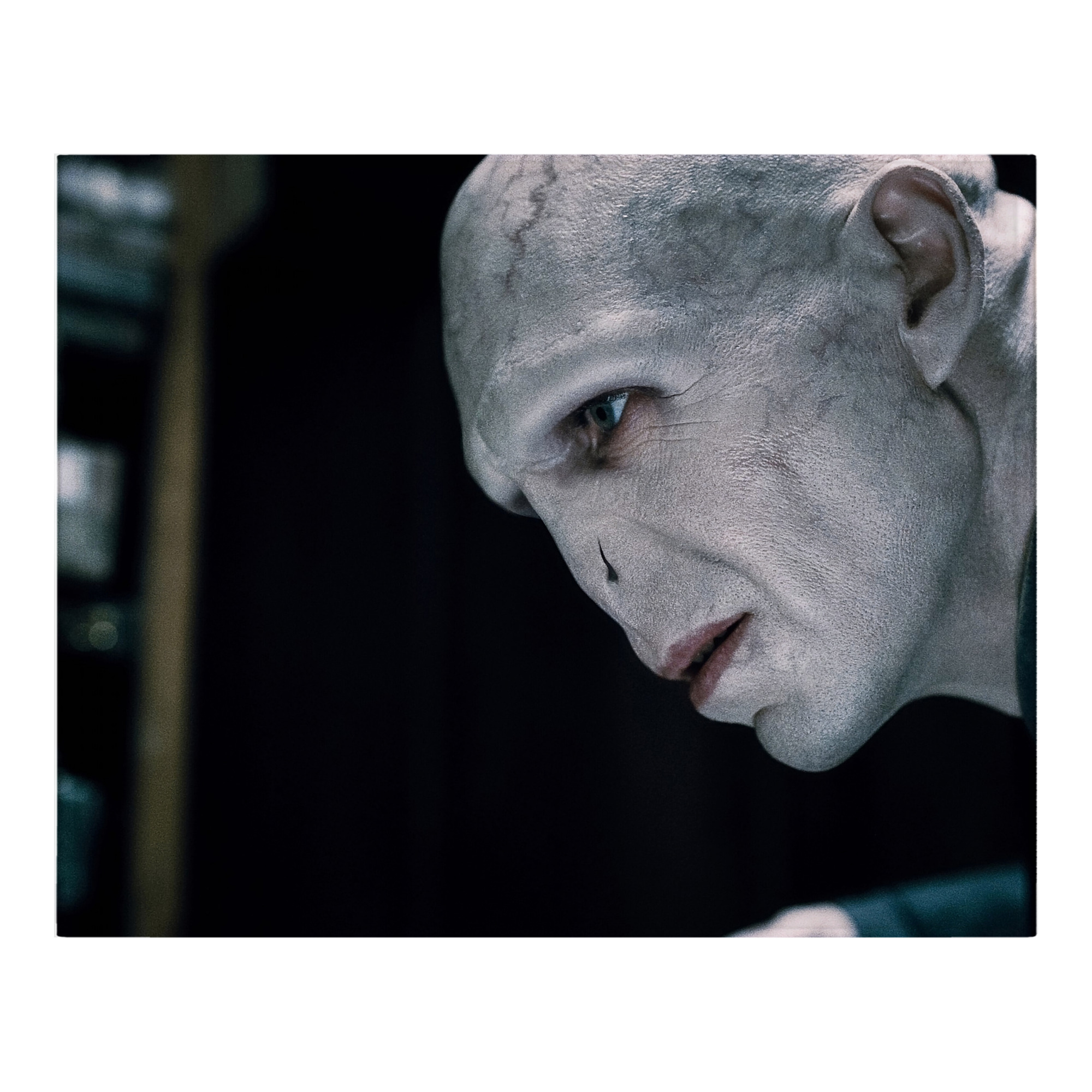 （画像用） Harry Potter ハリー・ポッターシリーズ フランネルブランケット・多サイズ対応（横型）