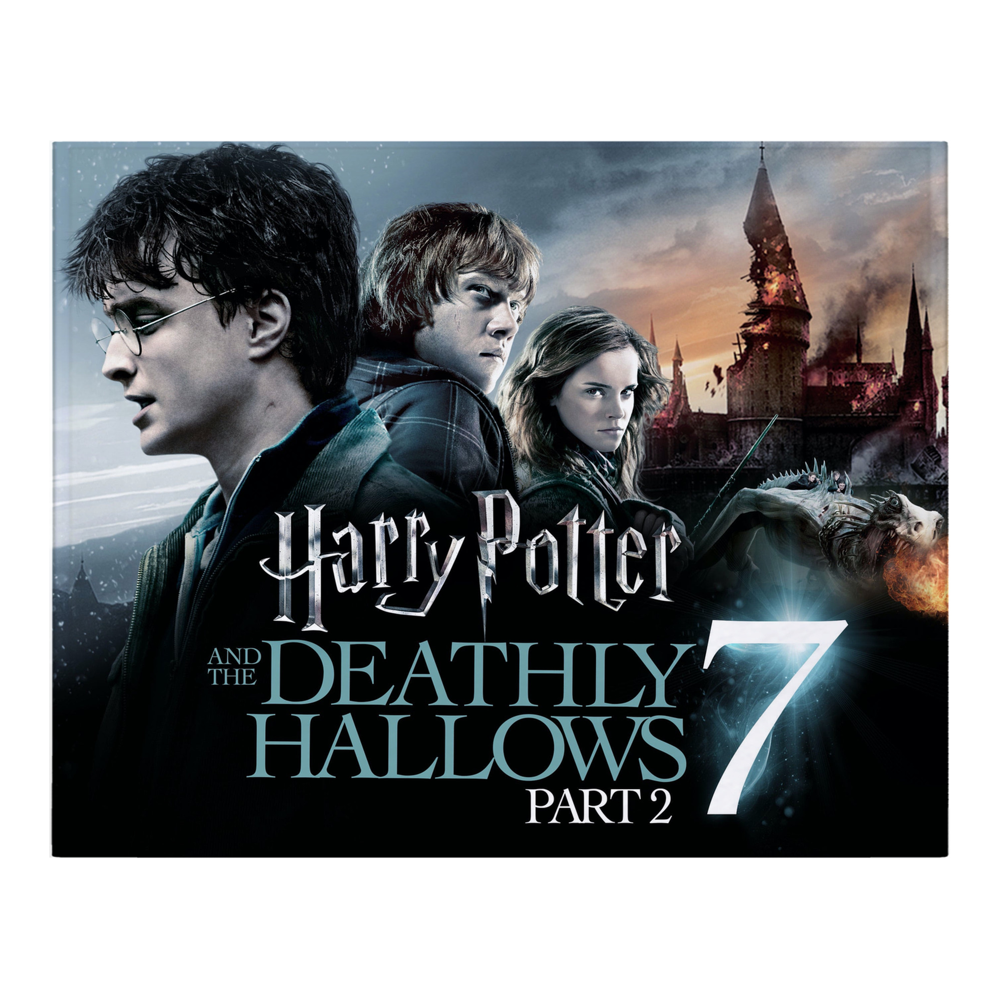 （画像用） Harry Potter ハリー・ポッターシリーズ フランネルブランケット・多サイズ対応（横型）