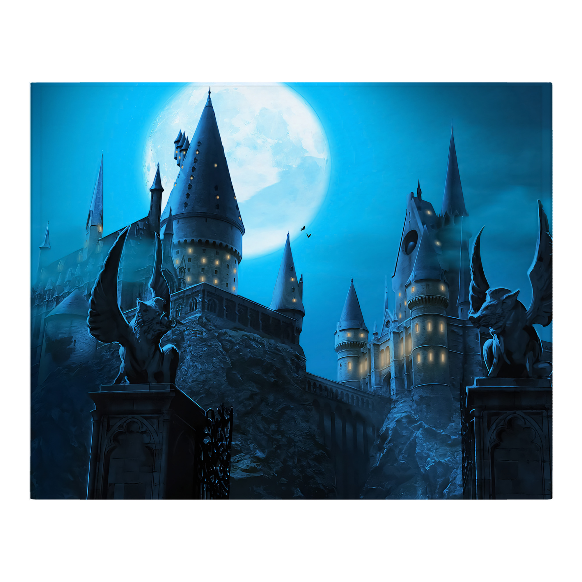 （画像用） Harry Potter ハリー・ポッターシリーズ フランネルブランケット・多サイズ対応（横型）