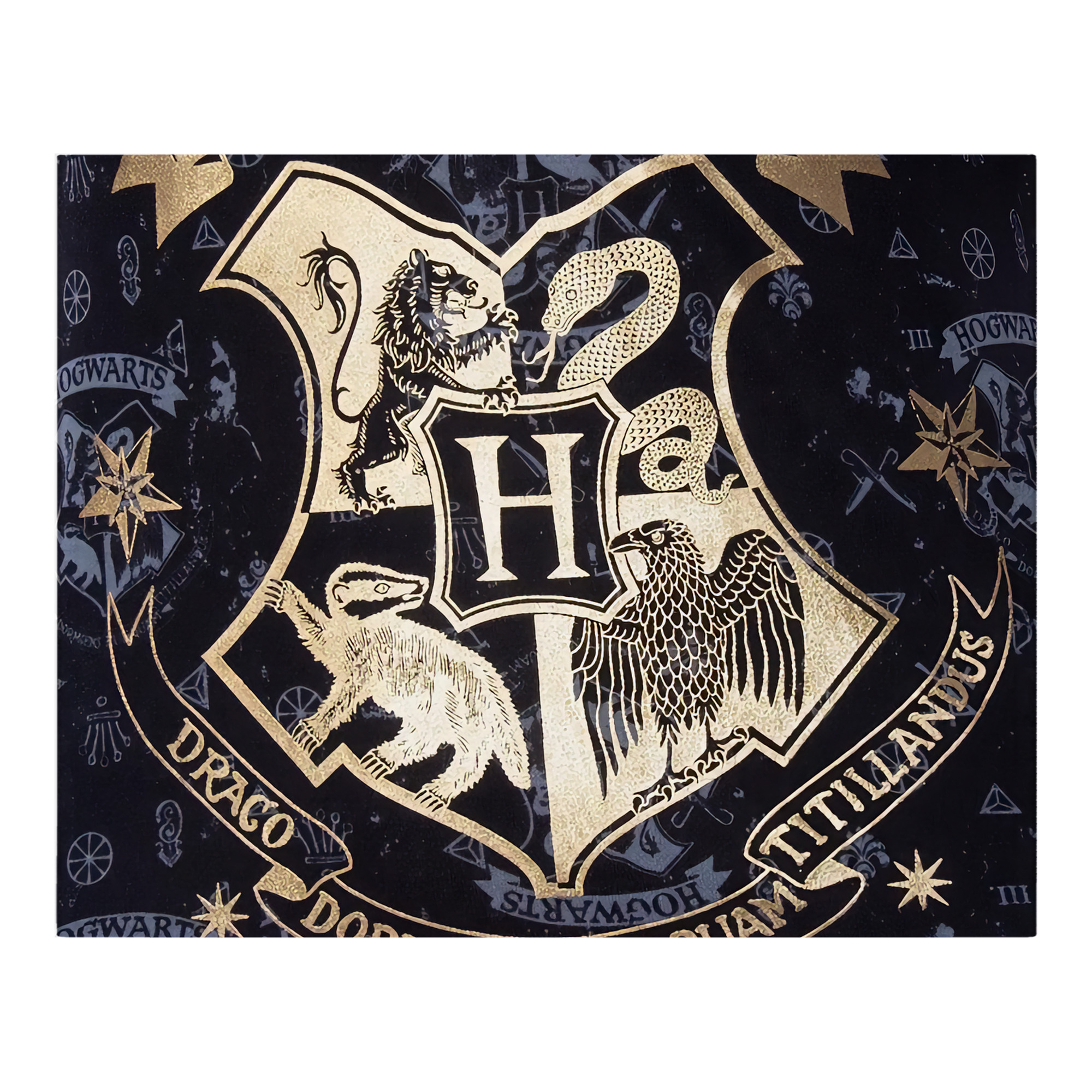 （画像用） Harry Potter ハリー・ポッターシリーズ フランネルブランケット・多サイズ対応（横型）
