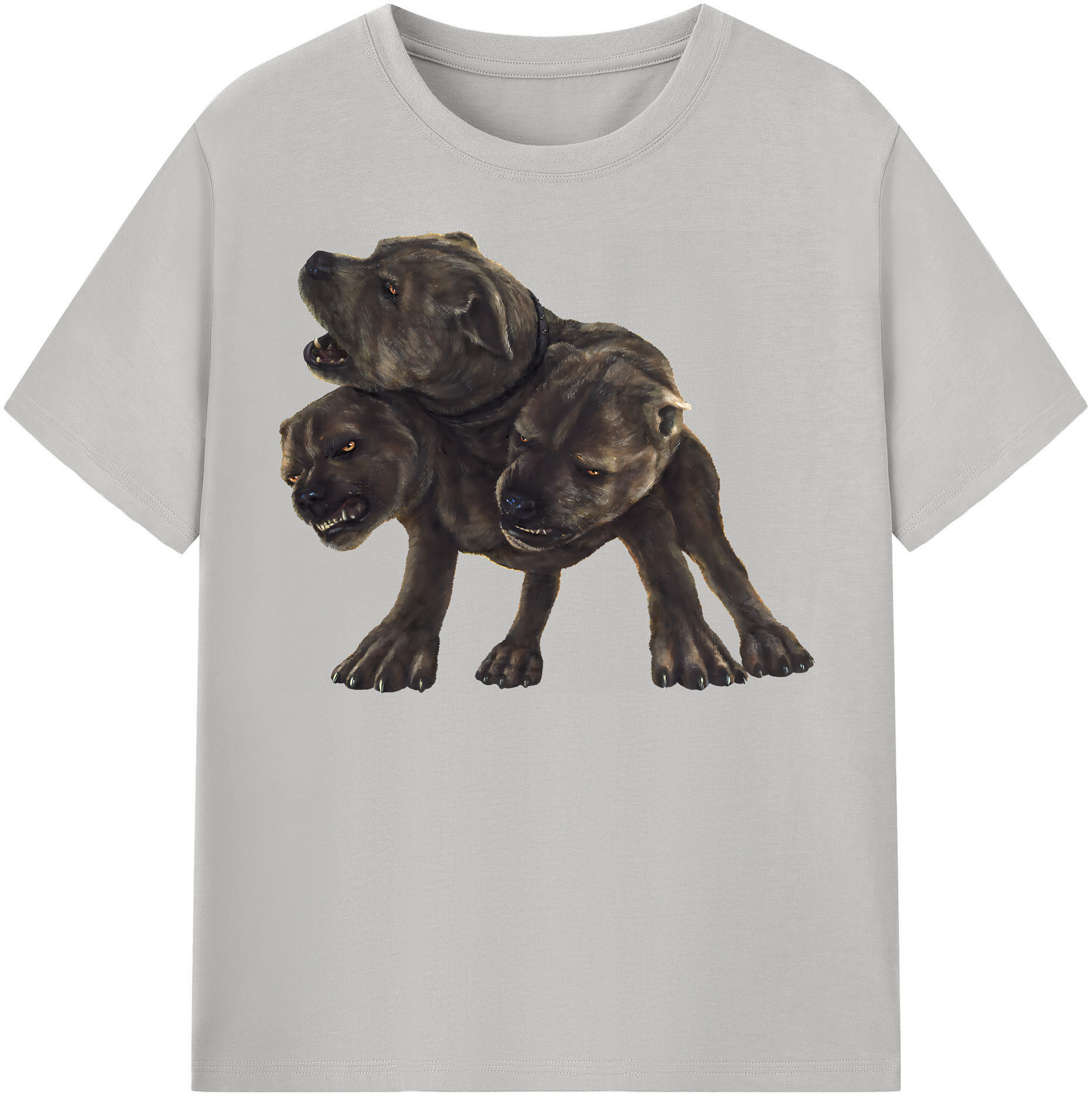 （画像用） Harry Potter ハリー・ポッターシリーズ 綿100％半袖Tシャツ（フロントプリント）
