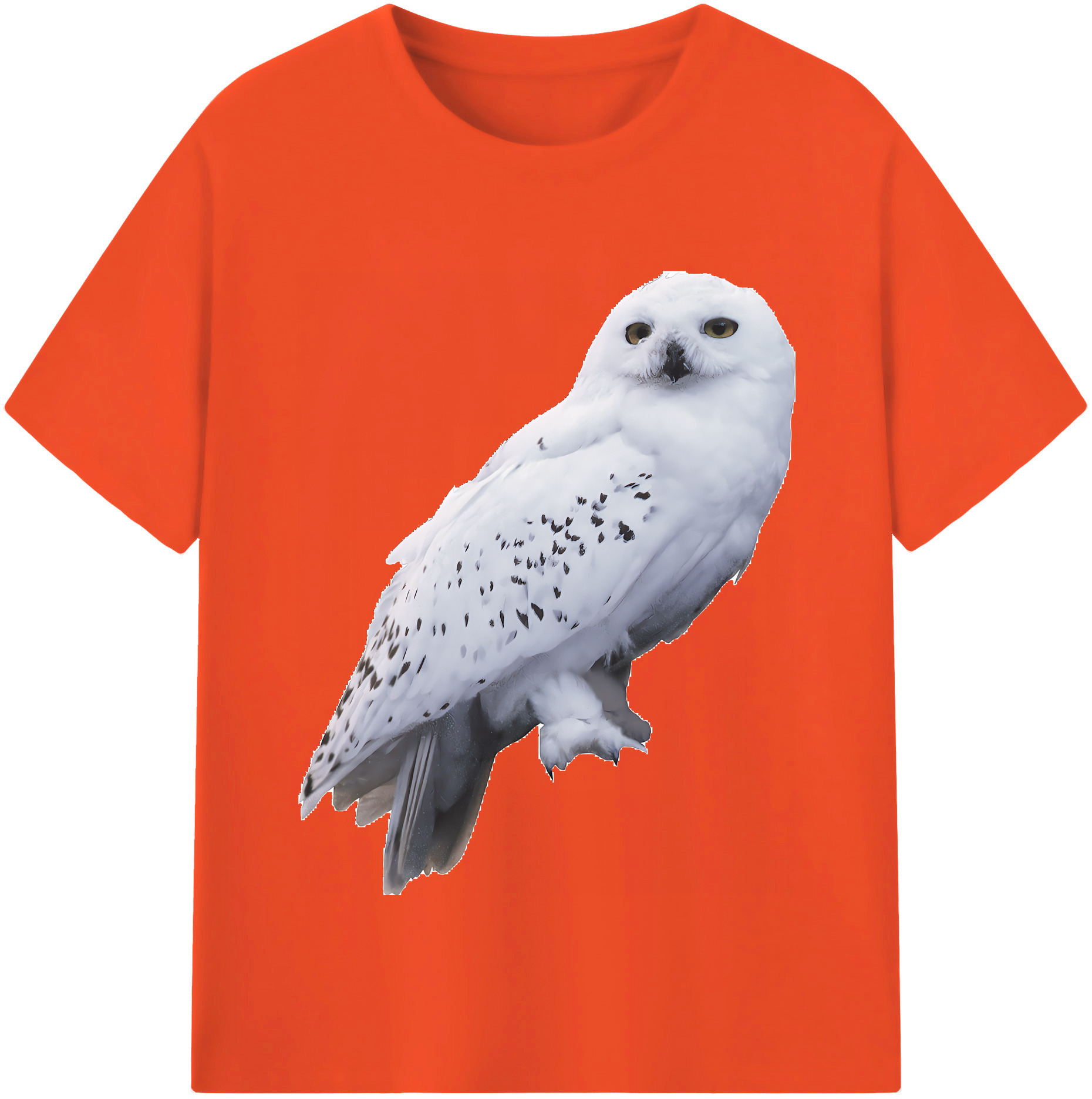 （画像用） Harry Potter ハリー・ポッターシリーズ 綿100％半袖Tシャツ（フロントプリント）