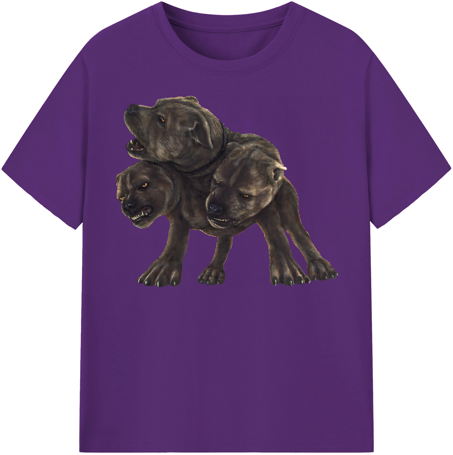 （画像用） Harry Potter ハリー・ポッターシリーズ 綿100％半袖Tシャツ（フロントプリント）