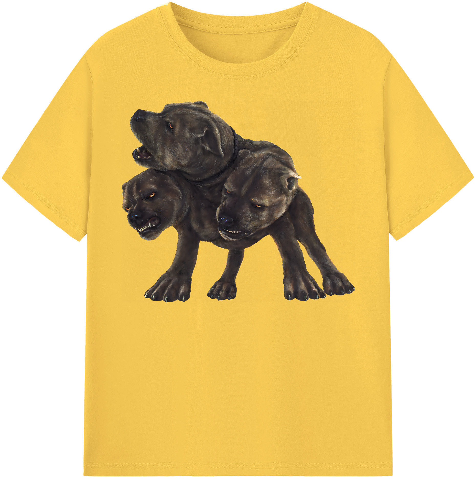 （画像用） Harry Potter ハリー・ポッターシリーズ 綿100％半袖Tシャツ（フロントプリント）