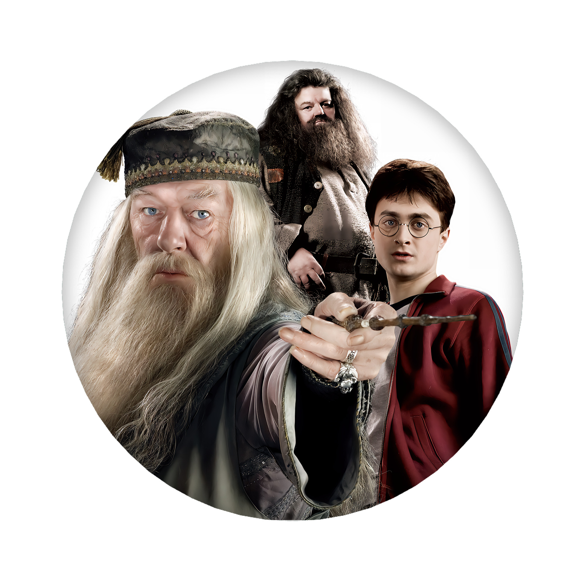 （画像用） Harry Potter ハリー・ポッターシリーズ 6cm 缶バッジ 複数セット