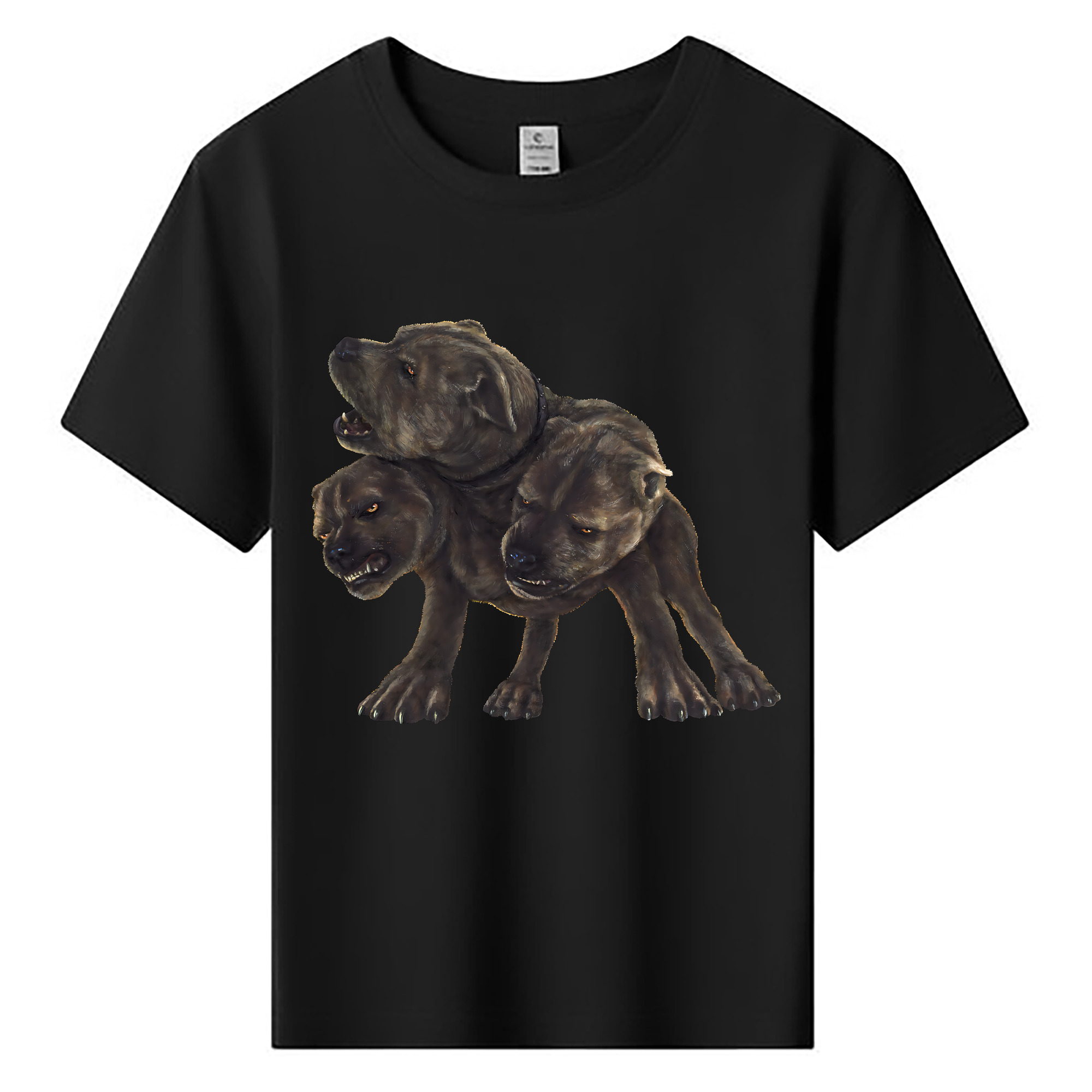 （画像用） Harry Potter ハリー・ポッターシリーズ 綿100％キッズTシャツ（フロントプリント）