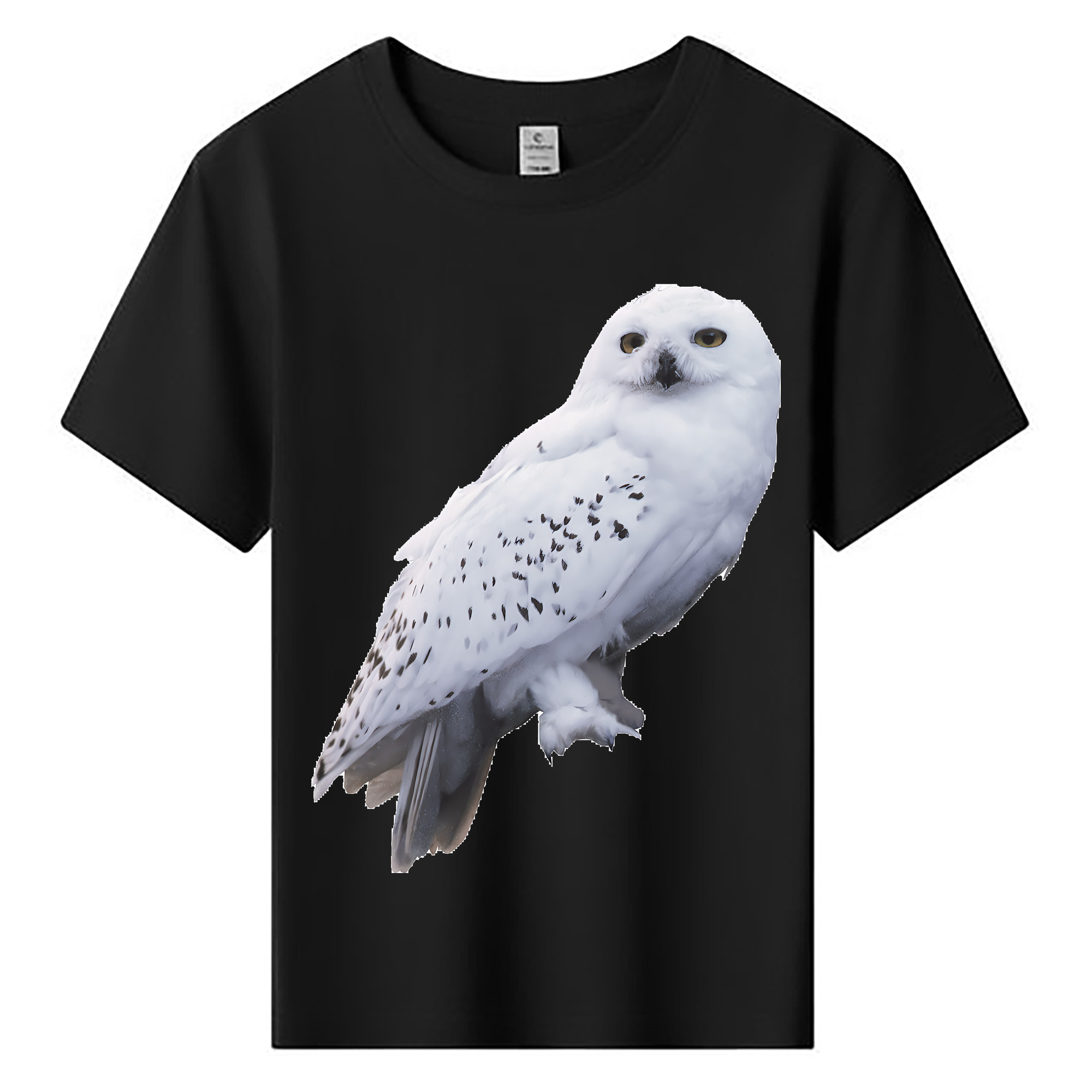 （画像用） Harry Potter ハリー・ポッターシリーズ 綿100％キッズTシャツ（フロントプリント）