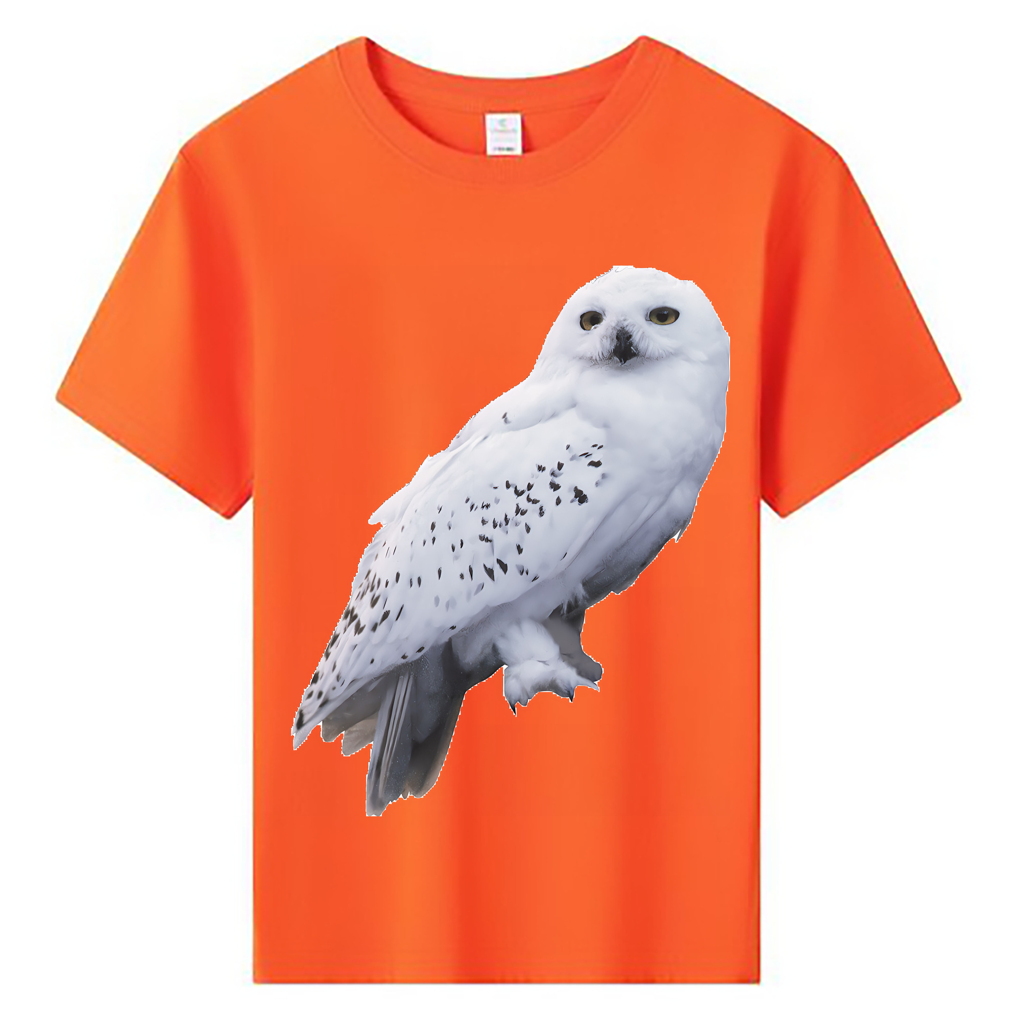 （画像用） Harry Potter ハリー・ポッターシリーズ 綿100％キッズTシャツ（フロントプリント）