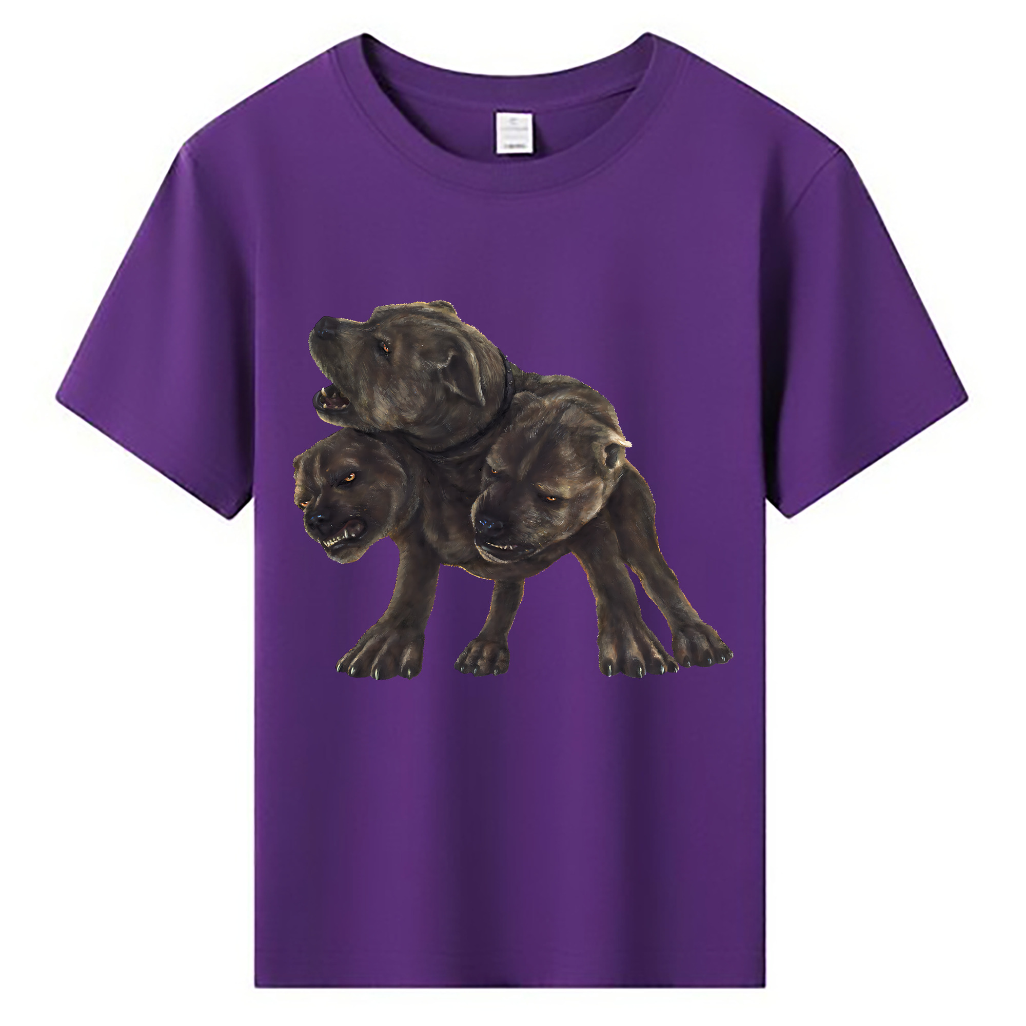 （画像用） Harry Potter ハリー・ポッターシリーズ 綿100％キッズTシャツ（フロントプリント）