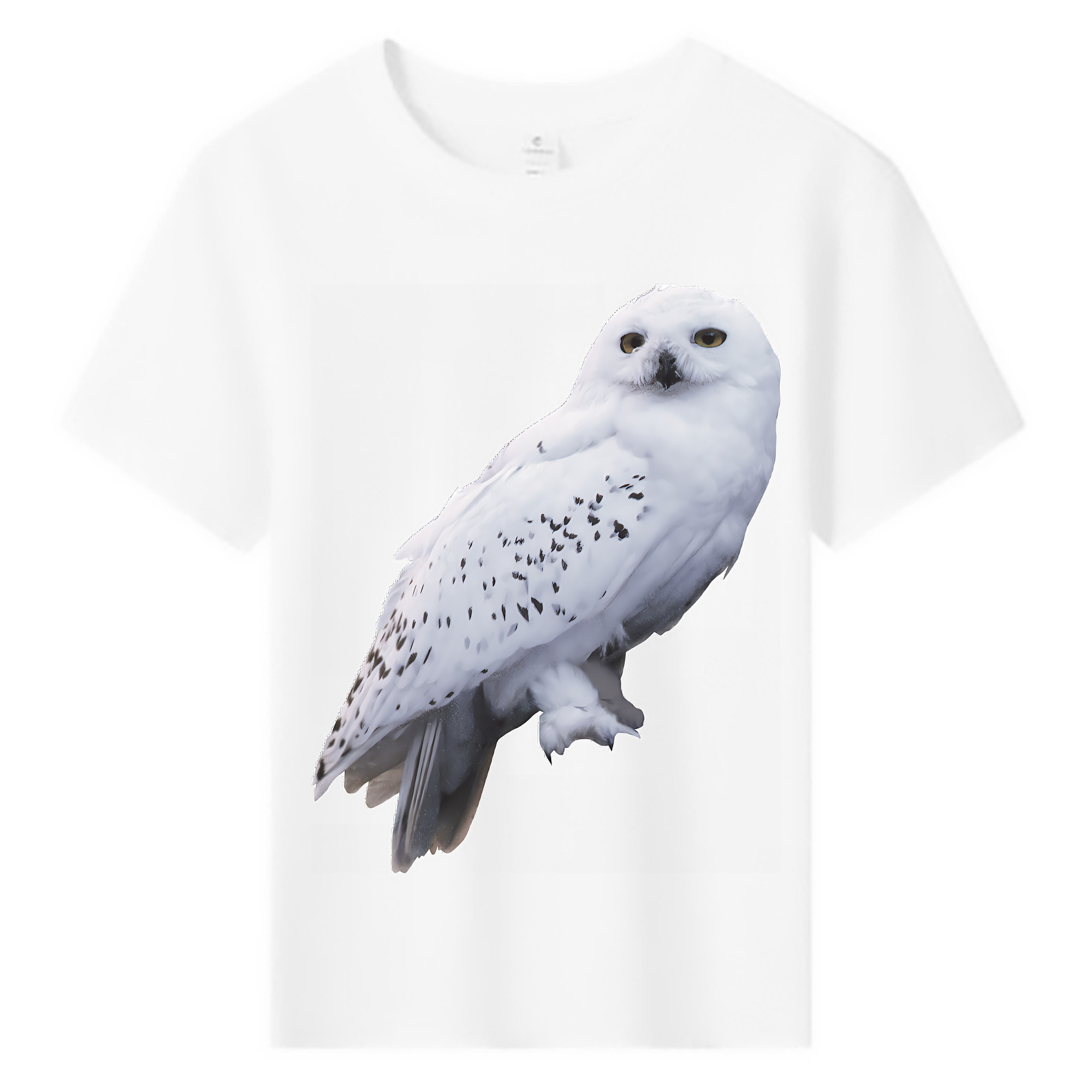 （画像用） Harry Potter ハリー・ポッターシリーズ 綿100％キッズTシャツ（フロントプリント）