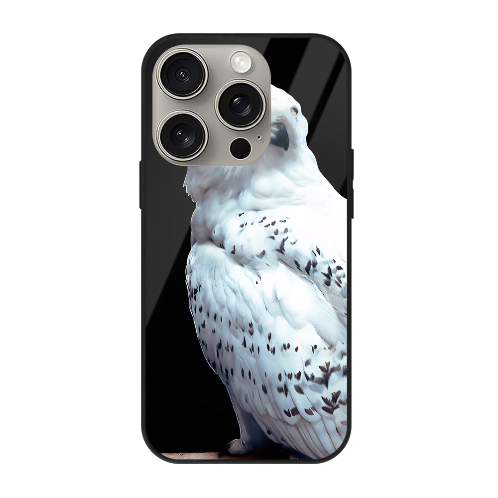 （画像用） Harry Potter ハリー・ポッターシリーズ 【iPhone15Pro対応】スマホケース 耐衝撃＆黄変防止 背面ガラス