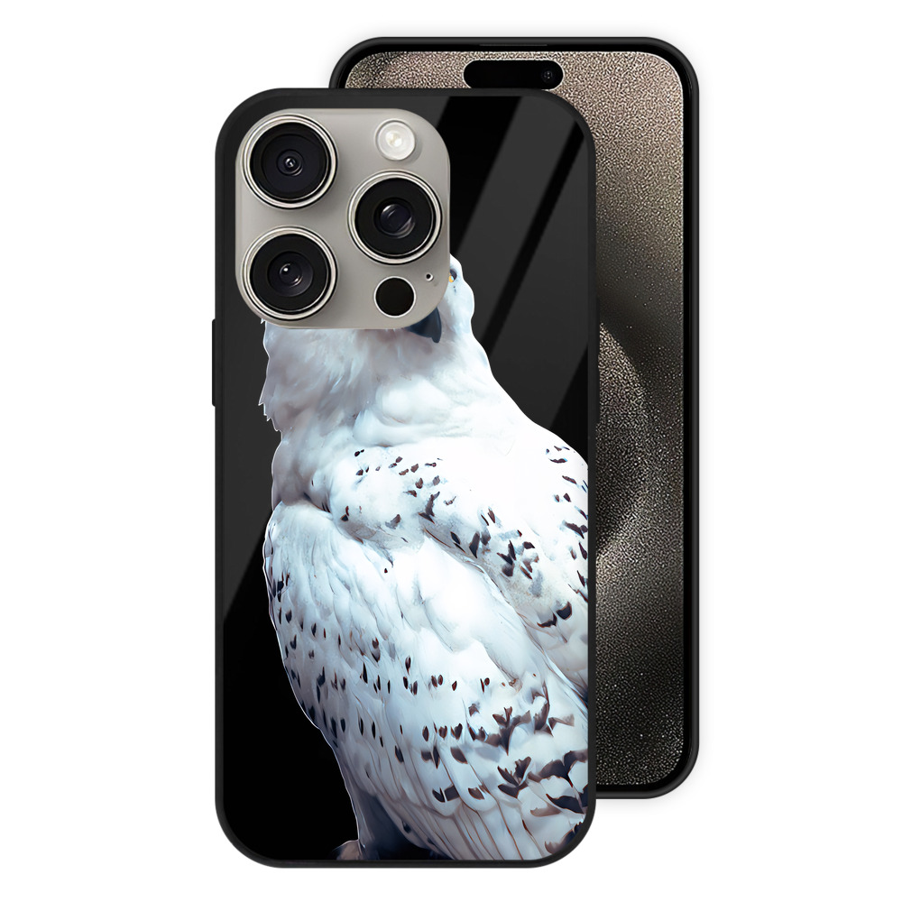 （画像用） Harry Potter ハリー・ポッターシリーズ 【iPhone15Pro対応】スマホケース 耐衝撃＆黄変防止 背面ガラス