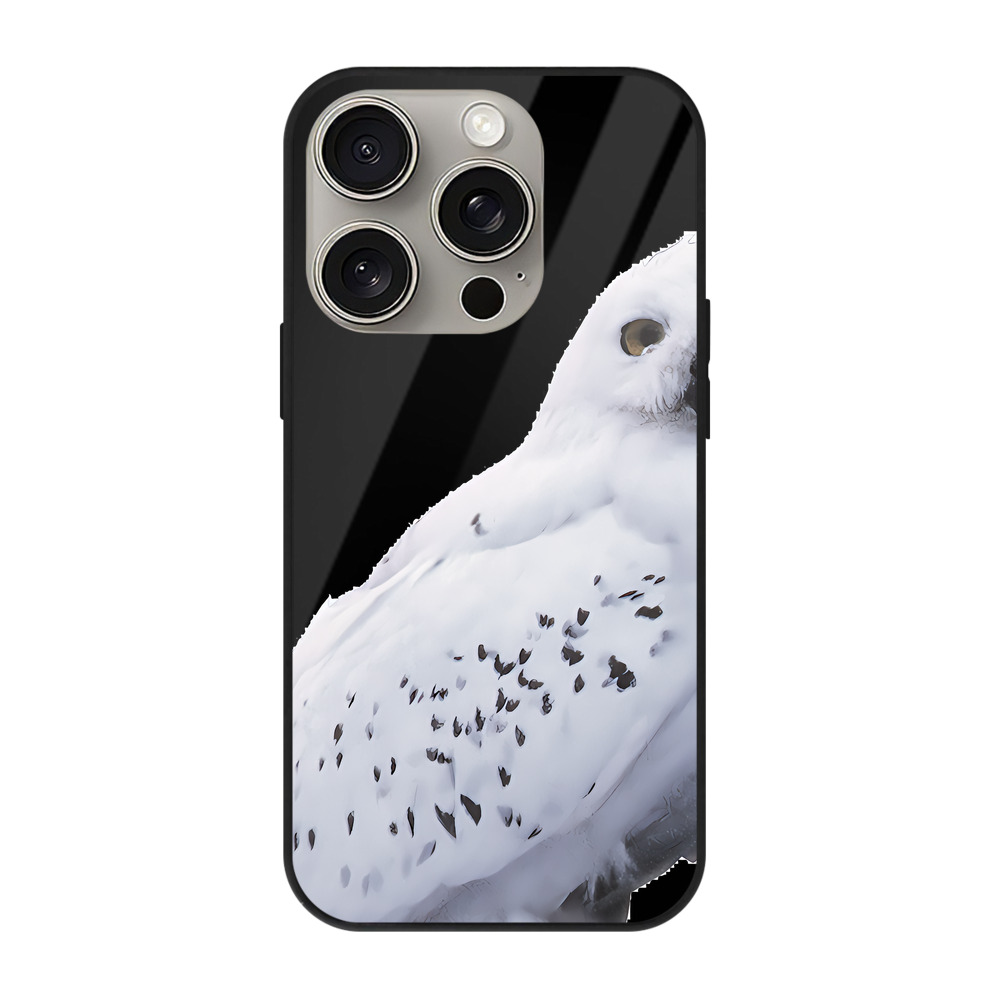 （画像用） Harry Potter ハリー・ポッターシリーズ 【iPhone15Pro対応】スマホケース 耐衝撃＆黄変防止 背面ガラス