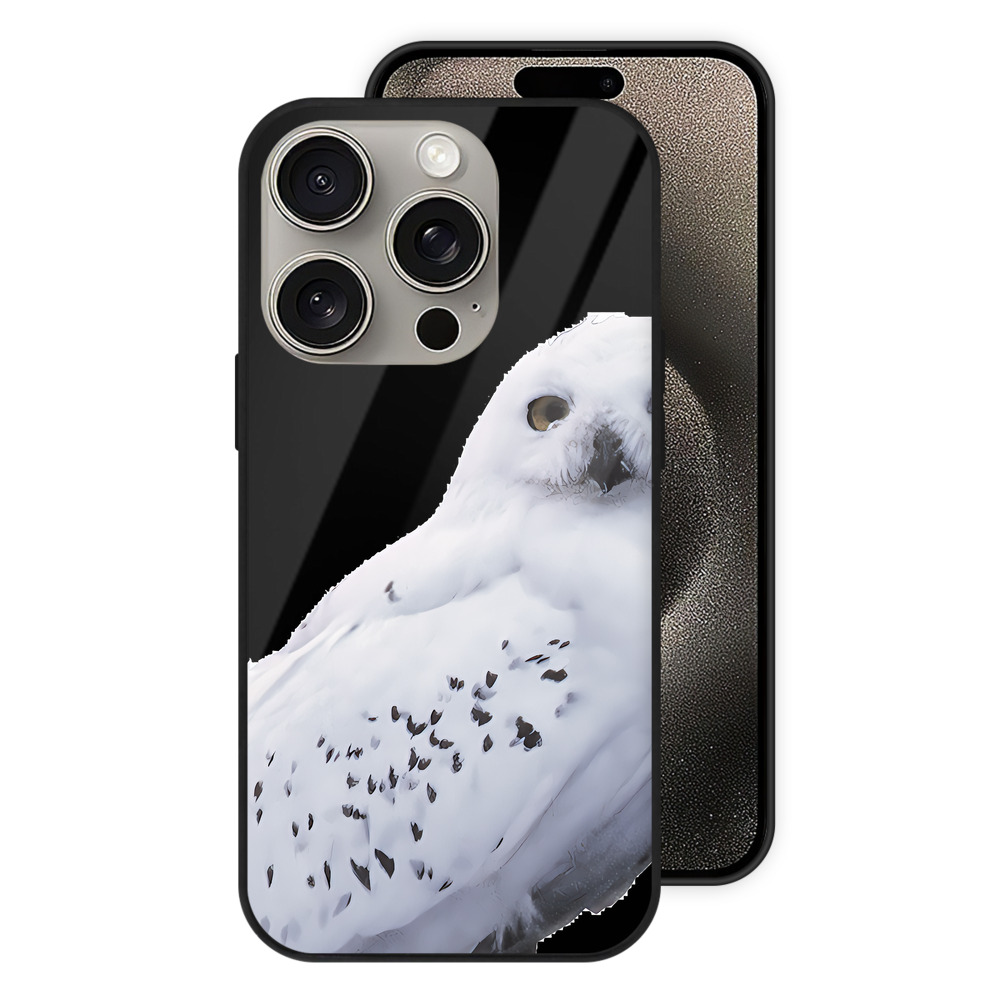 （画像用） Harry Potter ハリー・ポッターシリーズ 【iPhone15Pro対応】スマホケース 耐衝撃＆黄変防止 背面ガラス