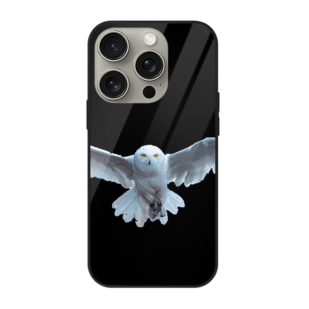 （画像用） Harry Potter ハリー・ポッターシリーズ 【iPhone15Pro対応】スマホケース 耐衝撃＆黄変防止 背面ガラス