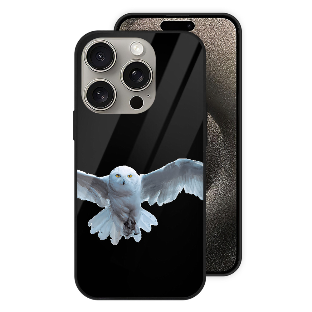 （画像用） Harry Potter ハリー・ポッターシリーズ 【iPhone15Pro対応】スマホケース 耐衝撃＆黄変防止 背面ガラス