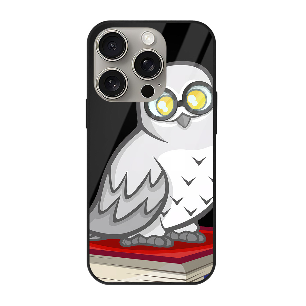 （画像用） Harry Potter ハリー・ポッターシリーズ 【iPhone15Pro対応】スマホケース 耐衝撃＆黄変防止 背面ガラス