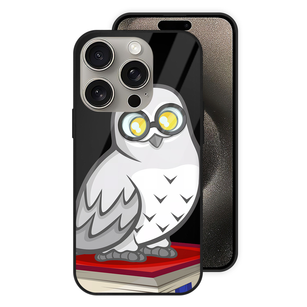 （画像用） Harry Potter ハリー・ポッターシリーズ 【iPhone15Pro対応】スマホケース 耐衝撃＆黄変防止 背面ガラス