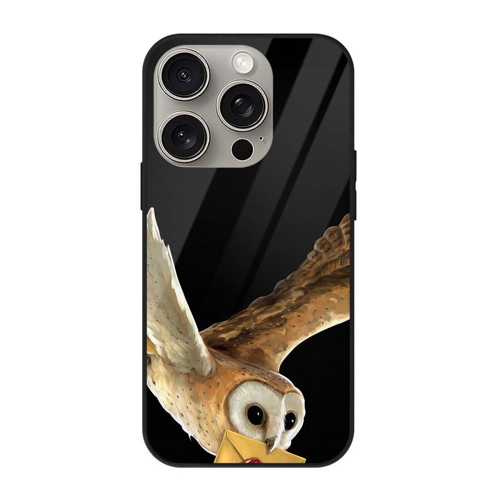 （画像用） Harry Potter ハリー・ポッターシリーズ 【iPhone15Pro対応】スマホケース 耐衝撃＆黄変防止 背面ガラス