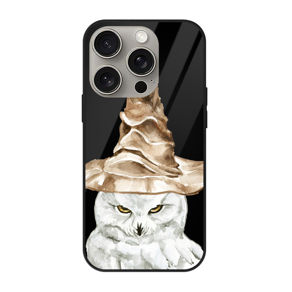 （画像用） Harry Potter ハリー・ポッターシリーズ 【iPhone15Pro対応】スマホケース 耐衝撃＆黄変防止 背面ガラス