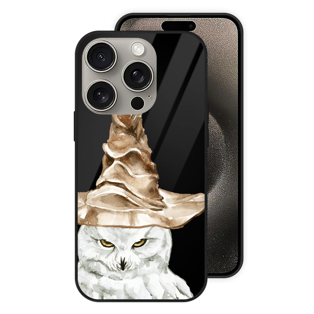 （画像用） Harry Potter ハリー・ポッターシリーズ 【iPhone15Pro対応】スマホケース 耐衝撃＆黄変防止 背面ガラス