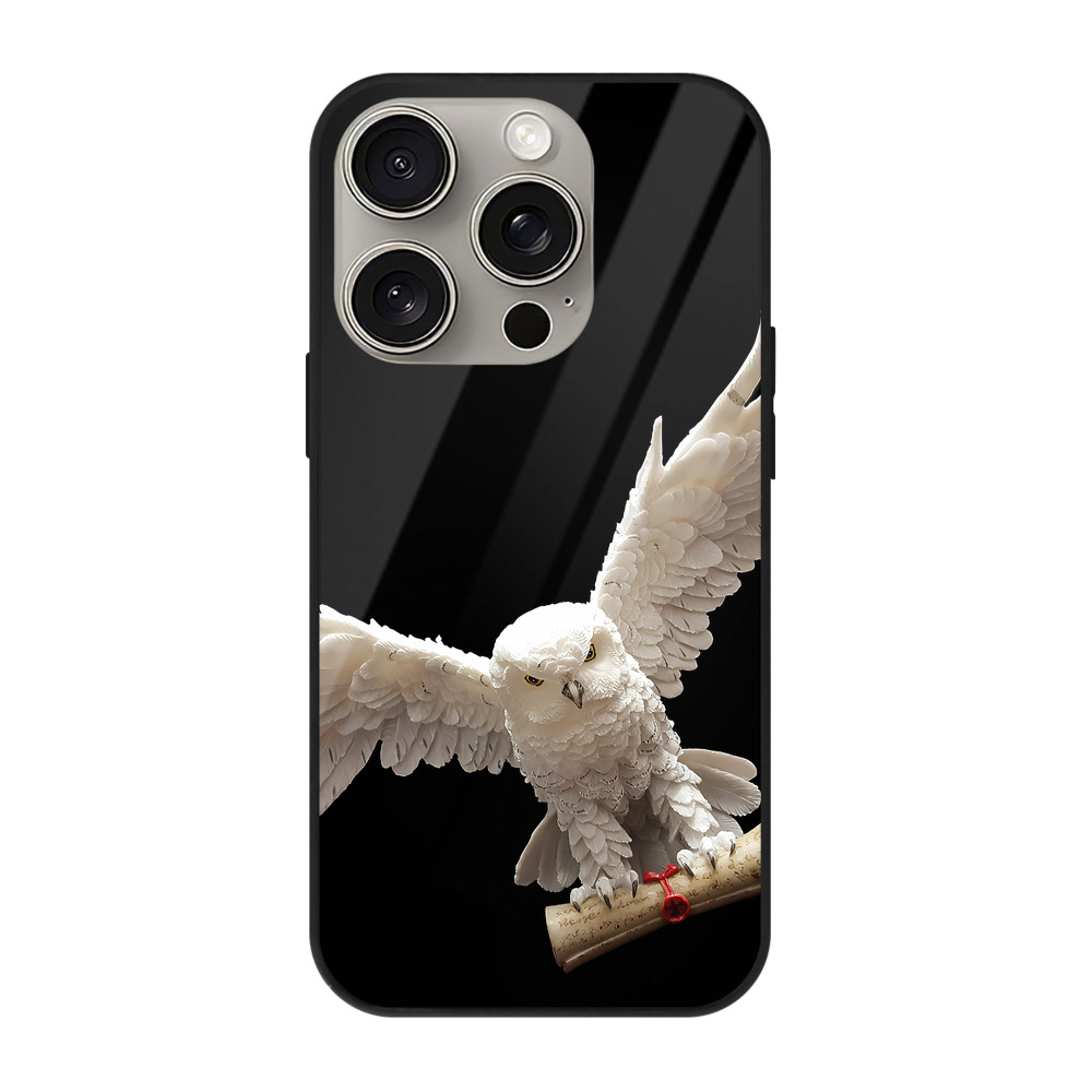 （画像用） Harry Potter ハリー・ポッターシリーズ 【iPhone15Pro対応】スマホケース 耐衝撃＆黄変防止 背面ガラス