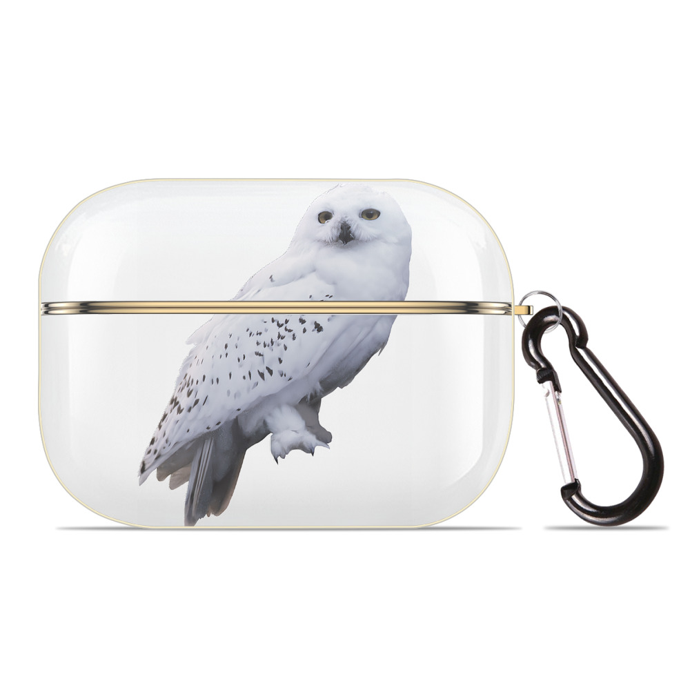 （画像用） Harry Potter ハリー・ポッターシリーズ 【AirPods Pro用】ハードシェル保護ケース｜耐衝撃・防指紋・カラビナ付き商品仕様