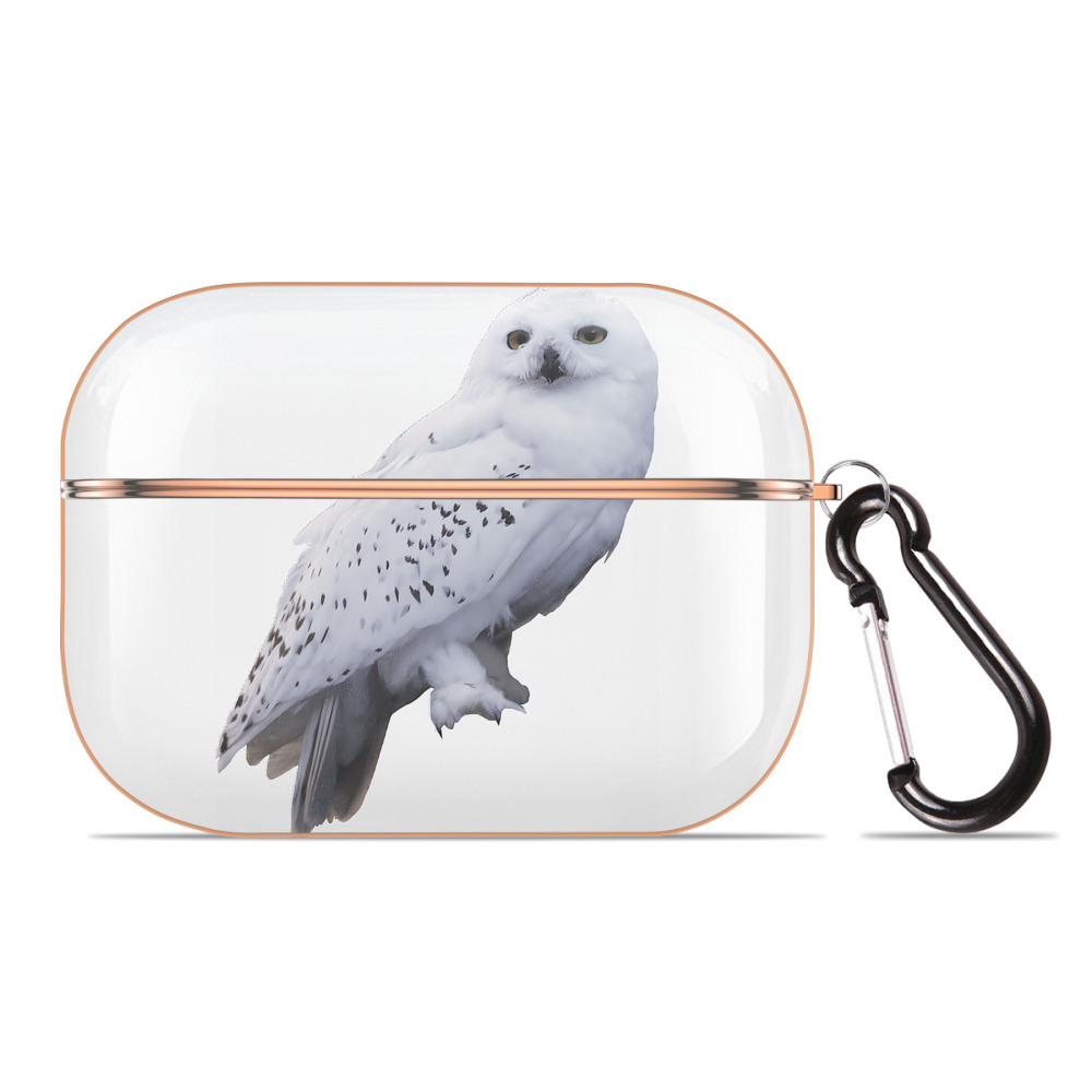 （画像用） Harry Potter ハリー・ポッターシリーズ 【AirPods Pro用】ハードシェル保護ケース｜耐衝撃・防指紋・カラビナ付き商品仕様
