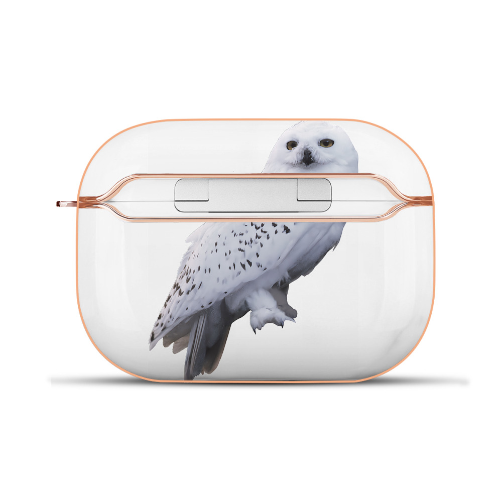 （画像用） Harry Potter ハリー・ポッターシリーズ 【AirPods Pro用】ハードシェル保護ケース｜耐衝撃・防指紋・カラビナ付き商品仕様