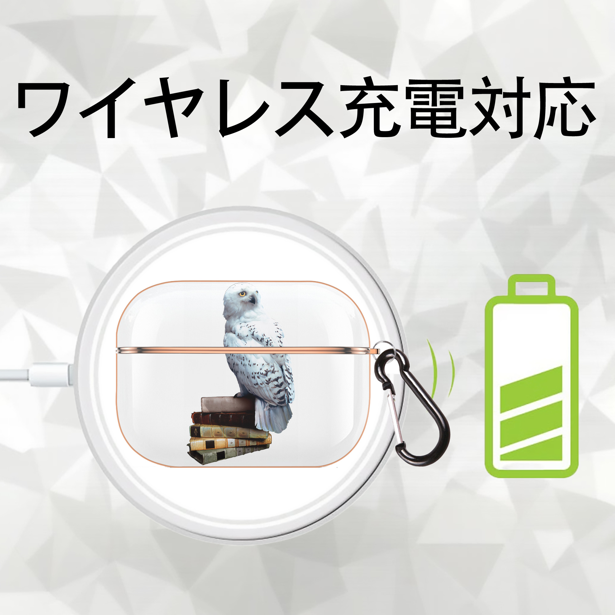 Harry Potter ハリー・ポッターシリーズ 【AirPods Pro用】ハードシェル保護ケース｜耐衝撃・防指紋・カラビナ付き商品仕様
