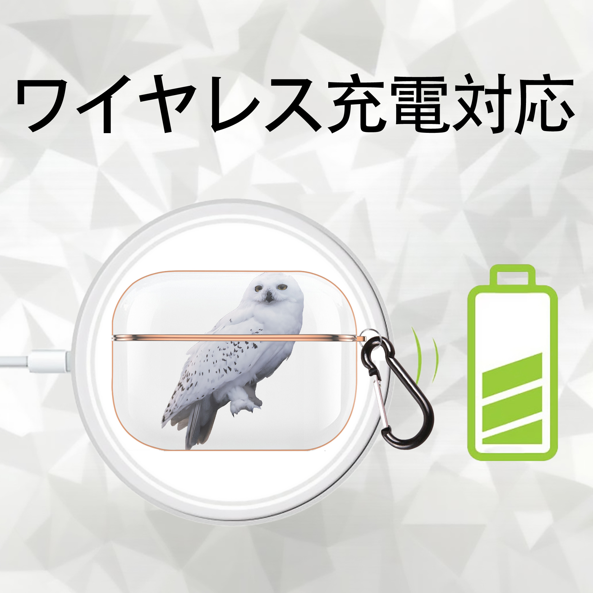 Harry Potter ハリー・ポッターシリーズ 【AirPods Pro用】ハードシェル保護ケース｜耐衝撃・防指紋・カラビナ付き商品仕様