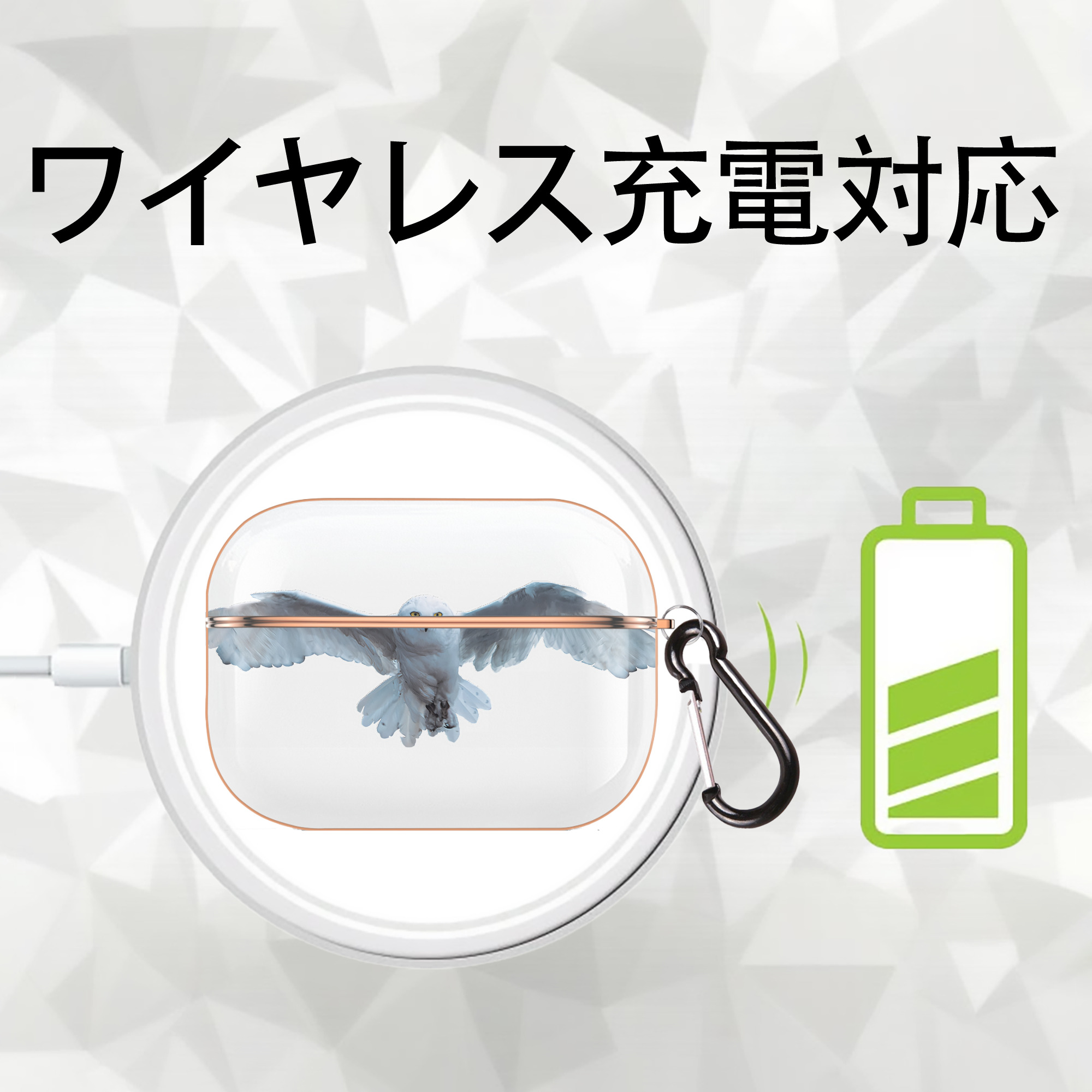Harry Potter ハリー・ポッターシリーズ 【AirPods Pro用】ハードシェル保護ケース｜耐衝撃・防指紋・カラビナ付き商品仕様