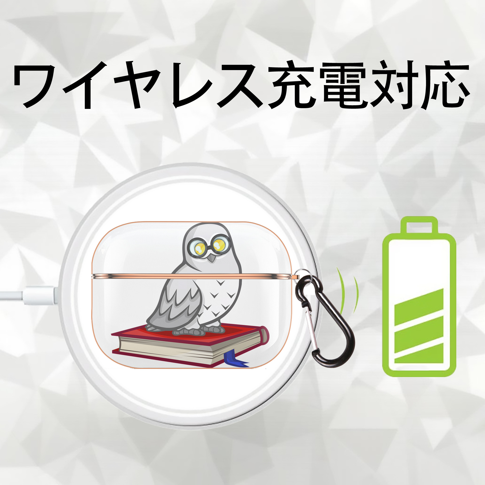 Harry Potter ハリー・ポッターシリーズ 【AirPods Pro用】ハードシェル保護ケース｜耐衝撃・防指紋・カラビナ付き商品仕様